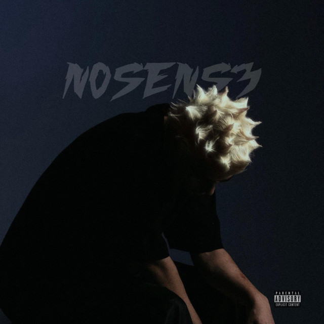 NøSëns3 cover art