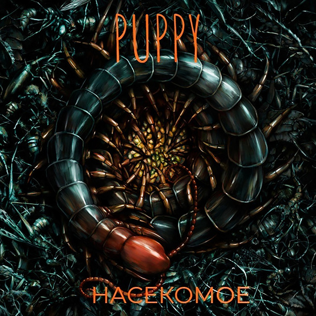 Puppy