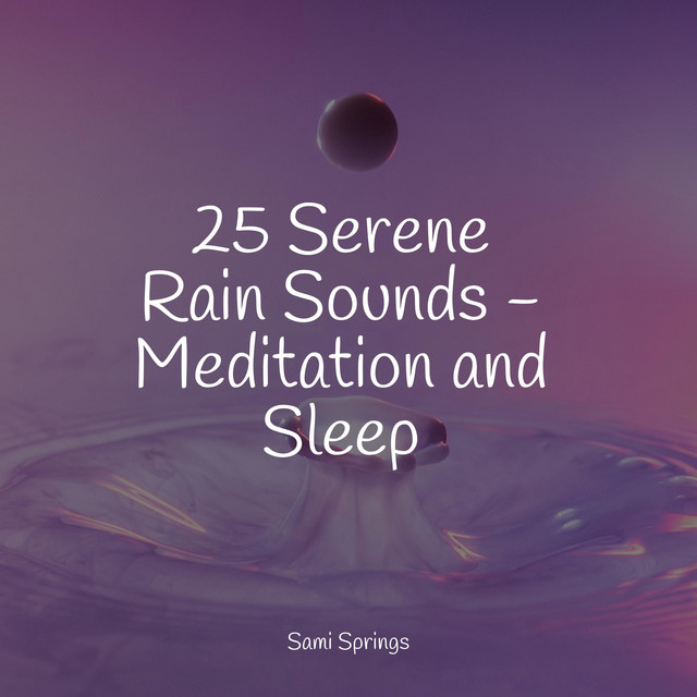 25 Serene Rain Sounds - Meditation and Sleep - Album by Relaxation ...