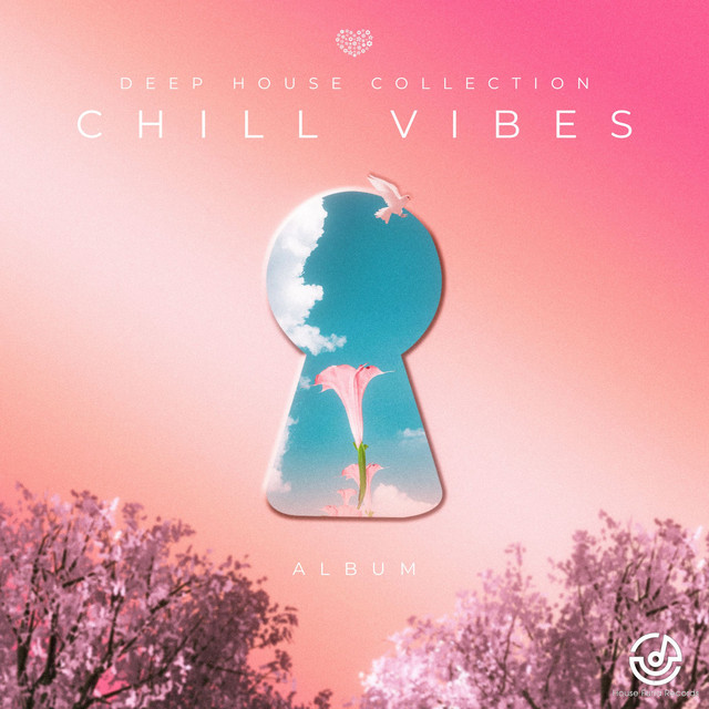 CHILL VIBES cover art