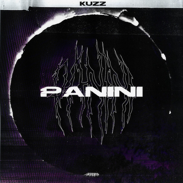 Panini cover art