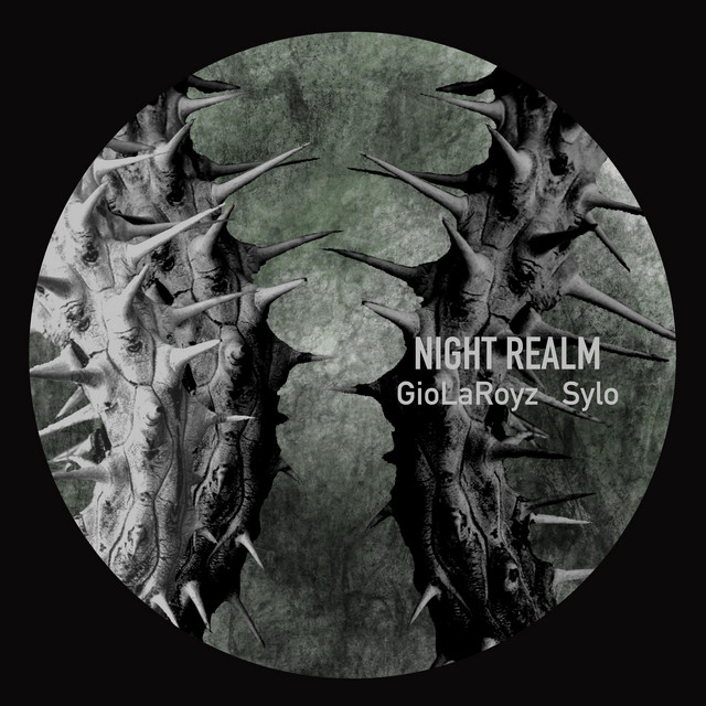 Night Realm