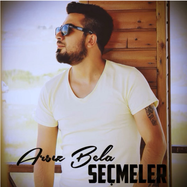 Seçmeler cover art