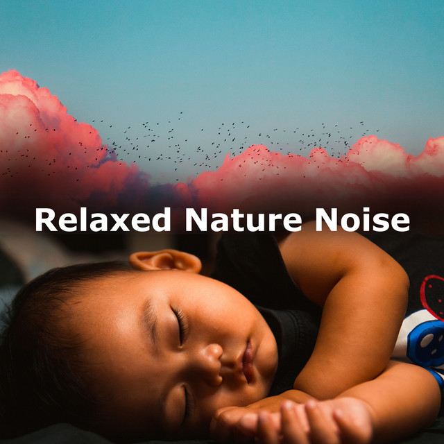 Relaxed Nature Noise - Album de Pro Sound Effects Library | Spotify