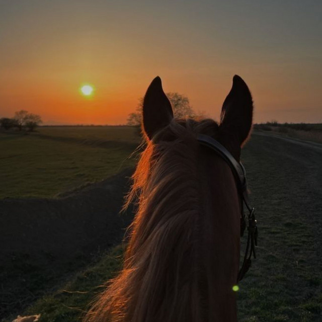 Обкладинка: Riding Dawn — Lux aeterna