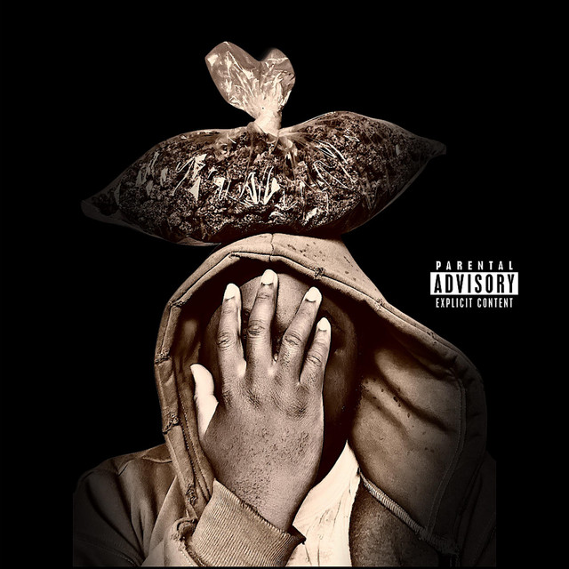 448 days cover art