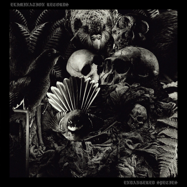 Elimination Records Presents: Endangered Species, Vol. 1 cover