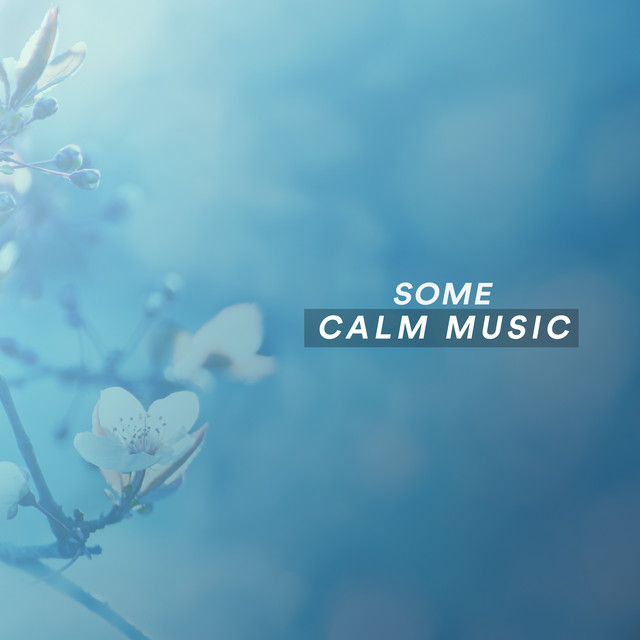 Some Calm Music cover