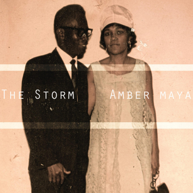The Storm cover