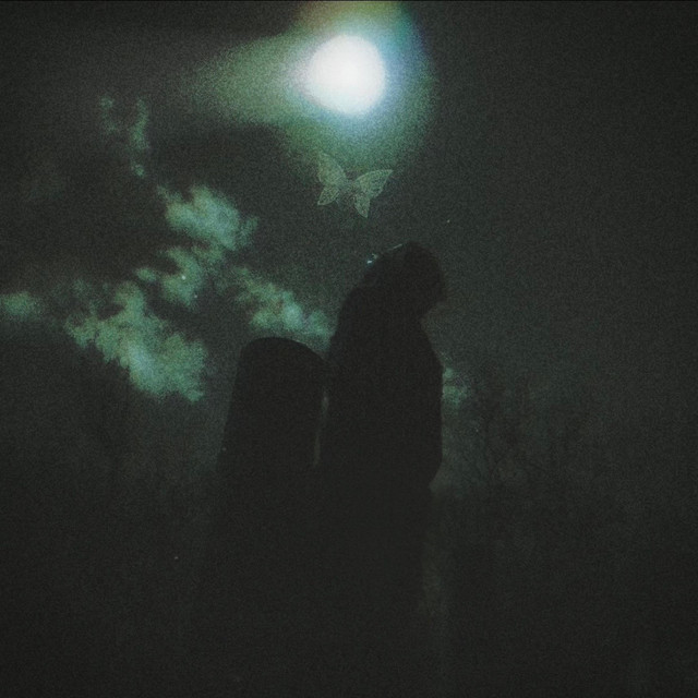 blind moth freestyle