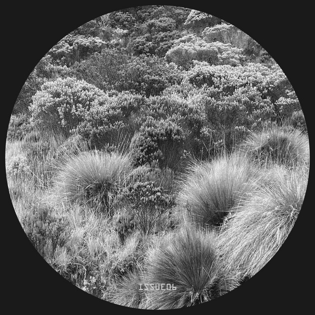 Verdor EP cover