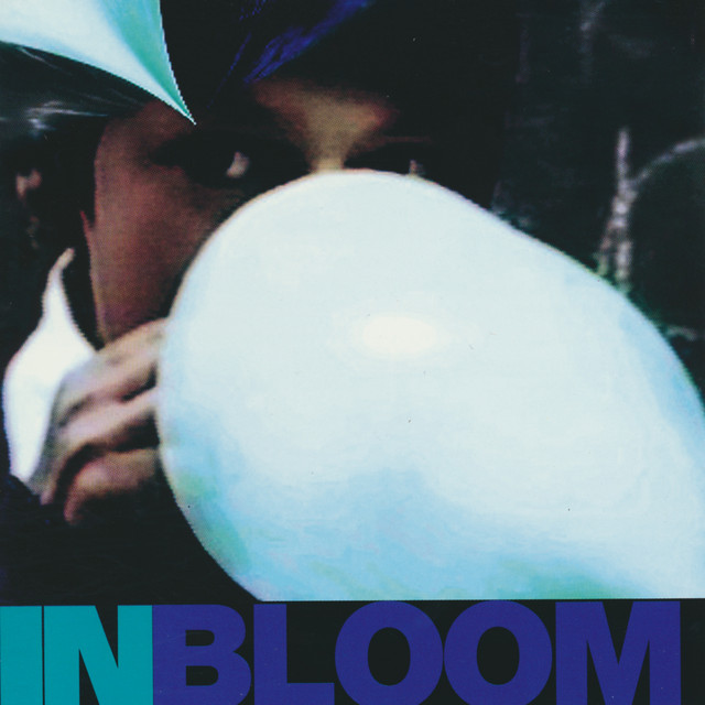 In bloom cover art