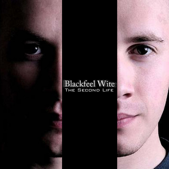 The Second Life cover art