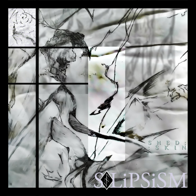 SOLiPSiSM cover art