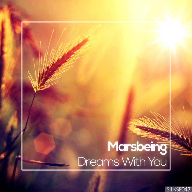 Dreams With You cover art