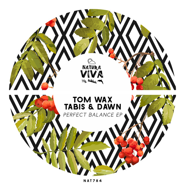Perfect Balance - Tom Wax Mix album art