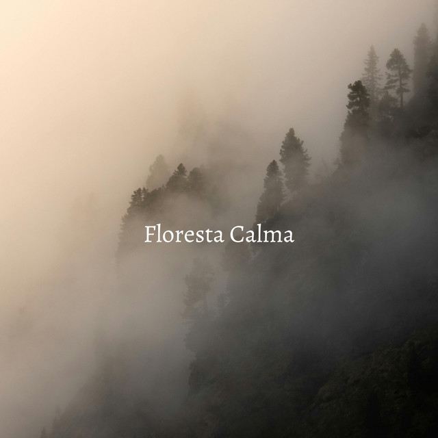 Floresta Calma cover
