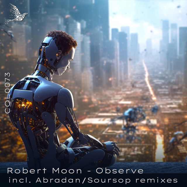Observe - Soursop Remix cover art