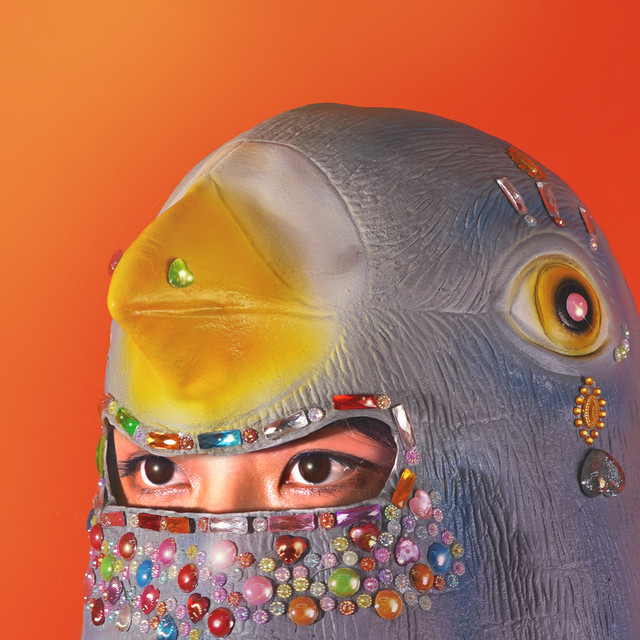 Pigeon cover art