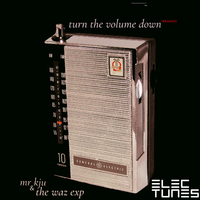 Turn the Volume Down cover art