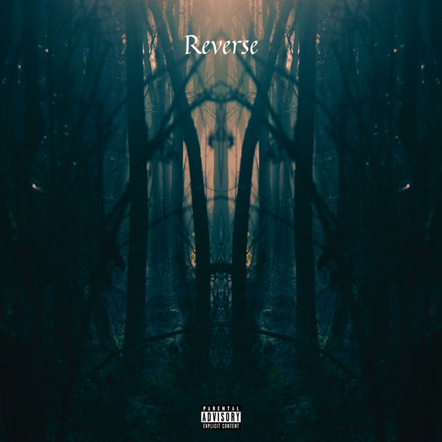 Reverse cover art