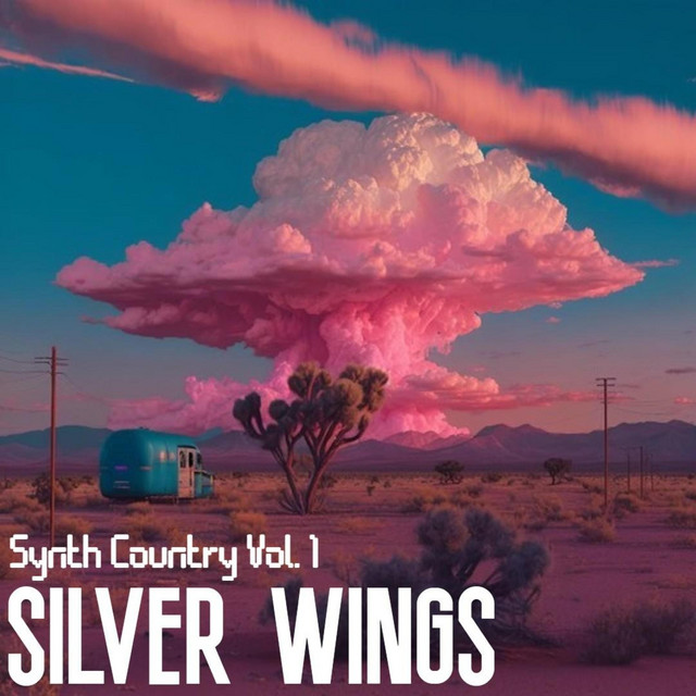 Silver Wings cover art