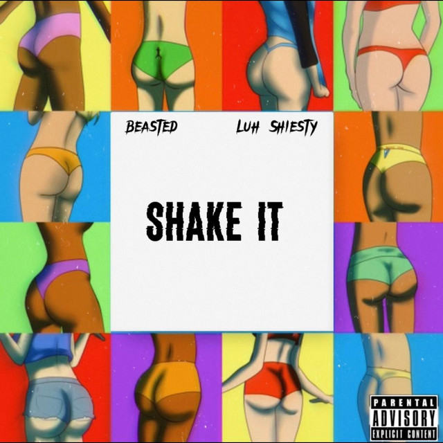 SHAKE IT cover art