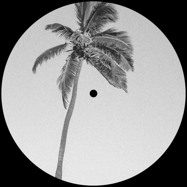 CQNZR. - Palm