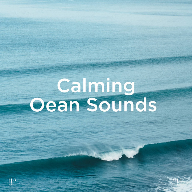 !!" Calming Ocean Sounds "!! cover art