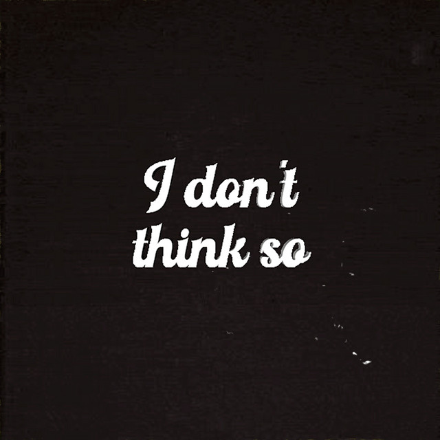 I Don't Think So