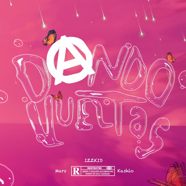 DANDO VUELTAS