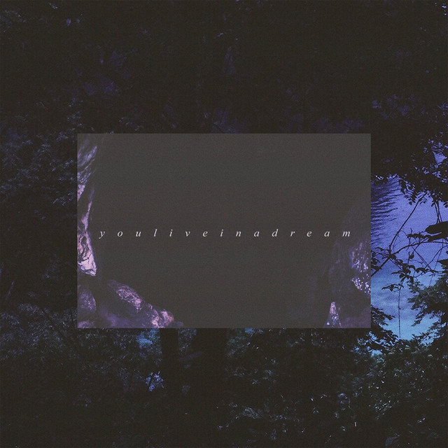 youliveinadream cover art