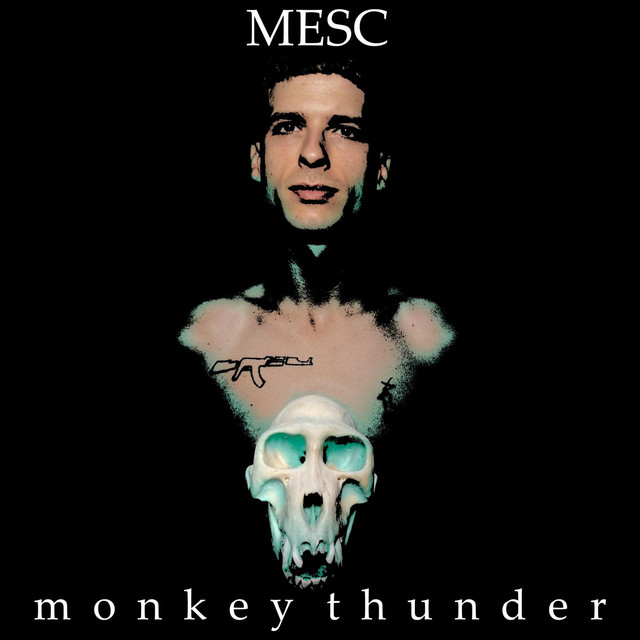Monkey Thunder cover art