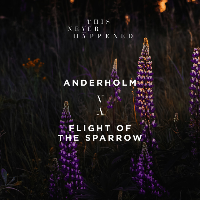 Timecode - Anderholm
