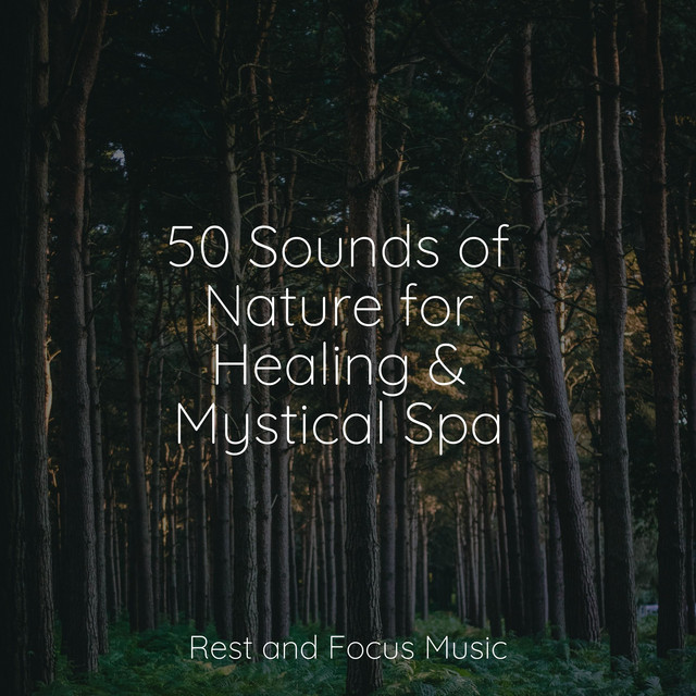 50 Sounds of Nature for Healing & Mystical Spa - Album by Meditation ...