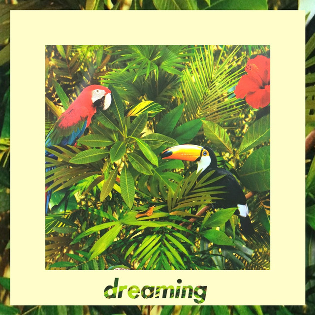 dreaming cover art