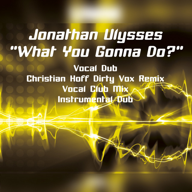 What You Gonna Do? - Christian Hoff Dirty Vox Remix cover art