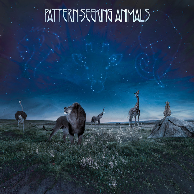 Pattern-Seeking Animals cover art
