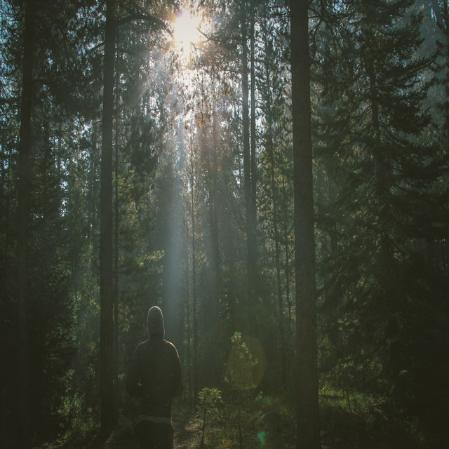 Distant Reverb cover art