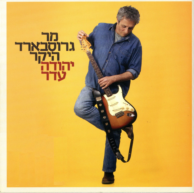 מר גרוסבארד היקר cover art