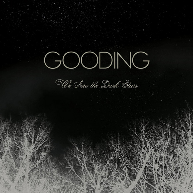 We Are the Dark Stars cover art