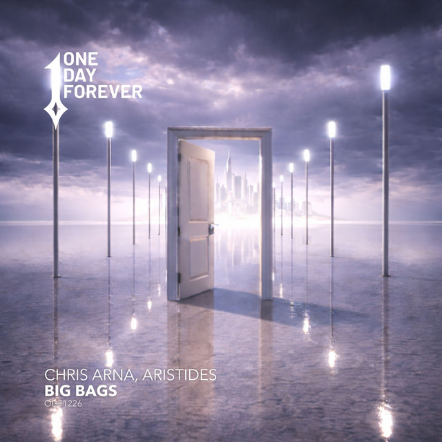 Big Bags - Extended Mix album art