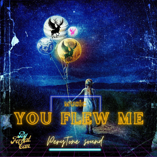 YOU FLEW ME - Single by Ferhat Can | Spotify