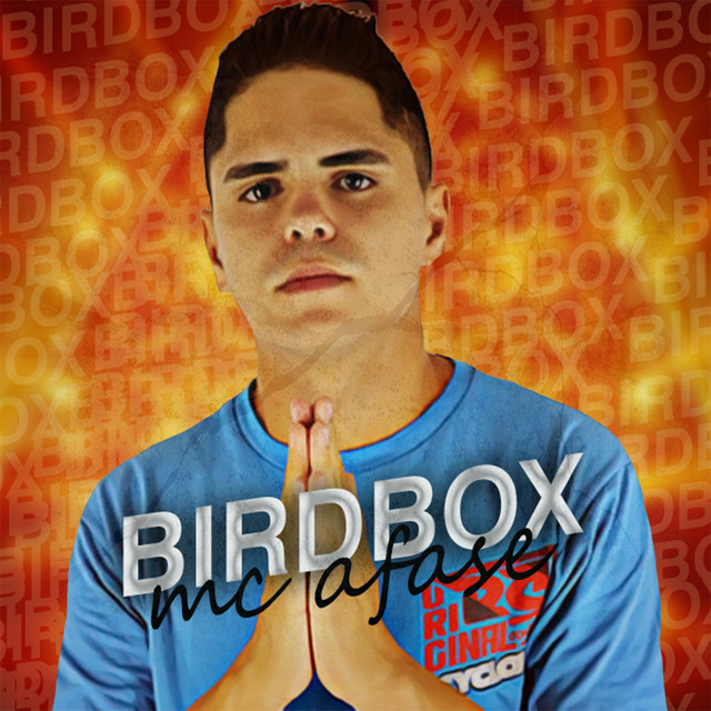 Bird Box