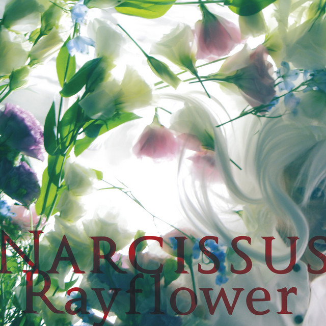 Narcissus cover