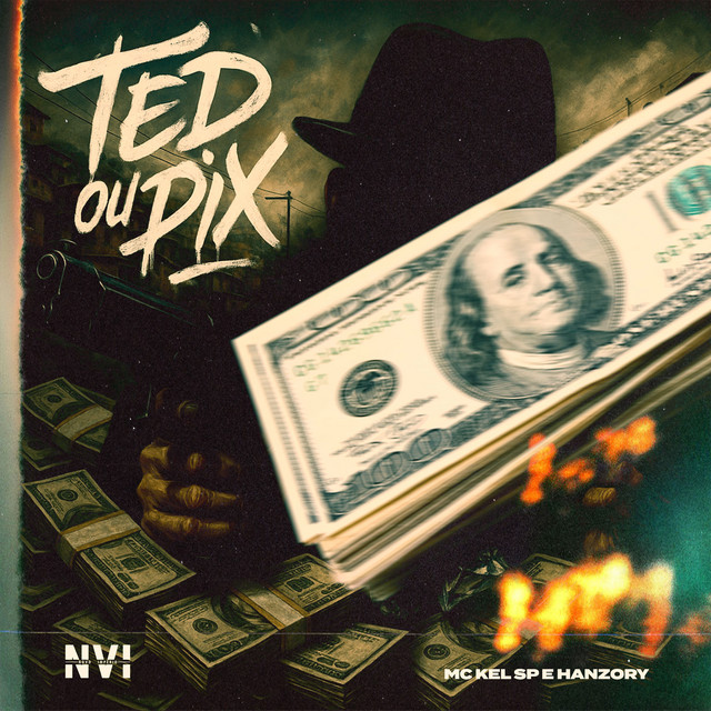TED ou Pix