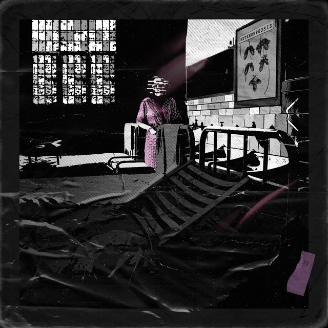 Metamorphosis cover art