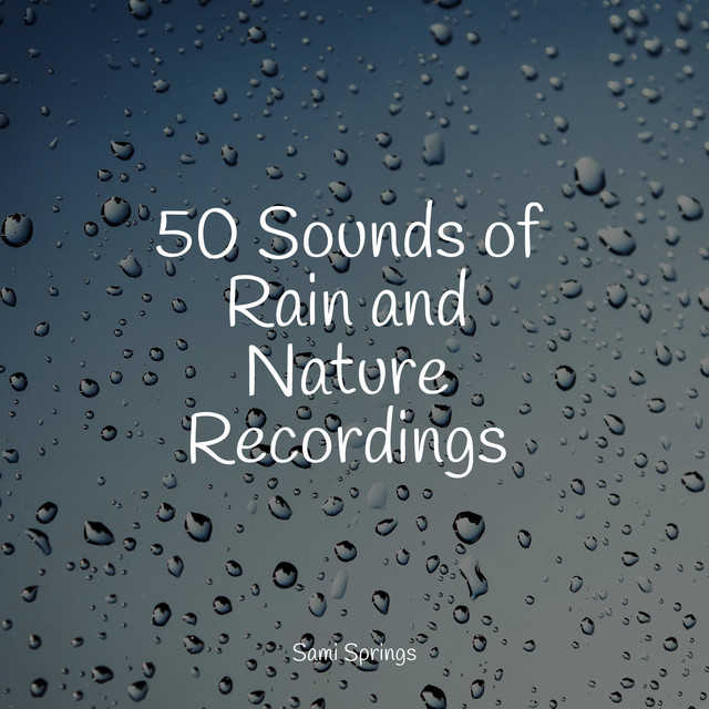 50 Sounds of Rain and Nature Recordings - Album by Lluvia PQ | Spotify