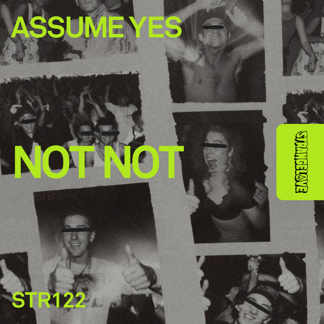 Assume Yes - Extended Mix album art