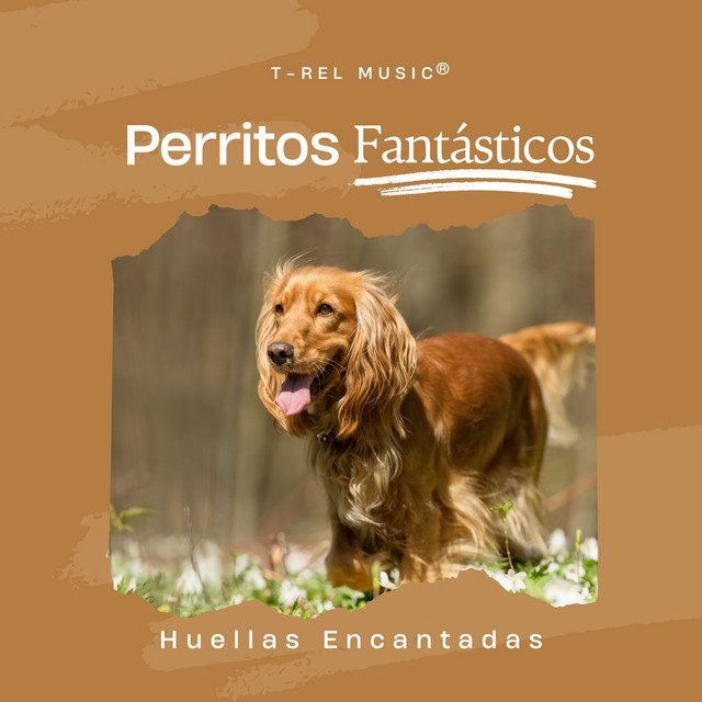 Huellas Encantadas